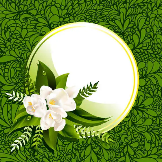 黑板报花边茉莉花花边