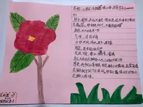 惊蛰节气到在春光里勤奋读书,和植物好朋友握手,做最棒的小蜜蜂