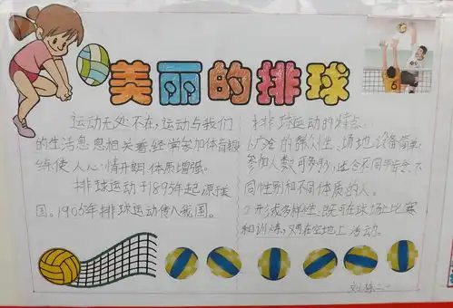 美丽的排球手抄报图片内容
