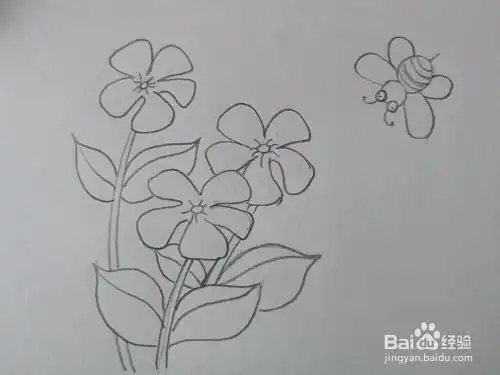 漂亮的花朵和蜜蜂简笔画怎么画