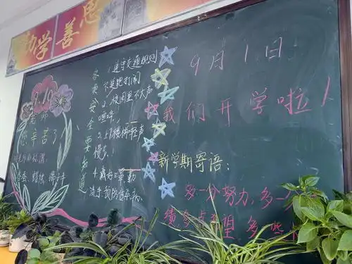 现场直击今年开学有点不一样,有学校整出了花