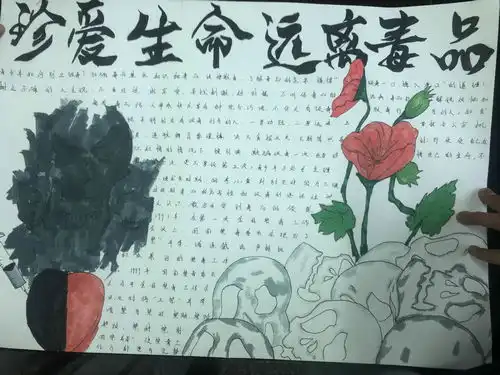 以青春为名,向毒品说不泸县九中开展禁毒手抄报绘制活动