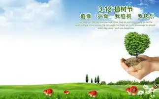 种下希望,点亮梦想