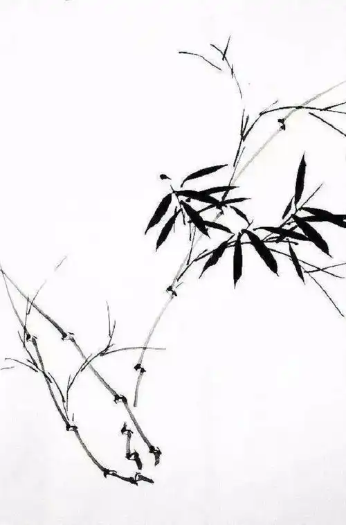 国画教程写意国画双清图