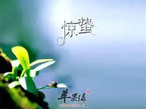 惊蜇时节养生法