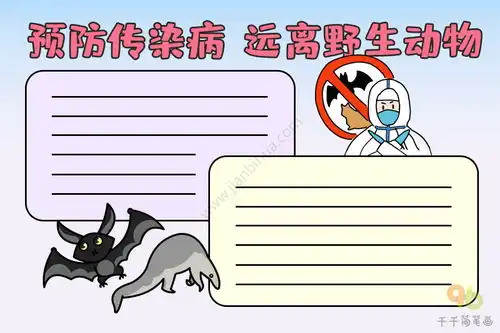 预防传染病手抄报远离野生动物