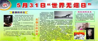 世界无烟日手抄报无烟国度