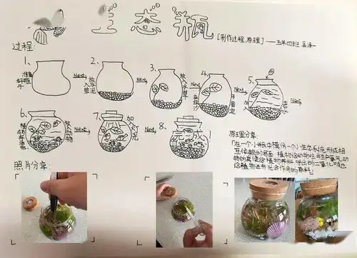 让自然世界更美好本真部五年级科学生态系统手抄报展示
