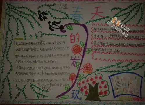 春天的发现手抄报图片大全内容