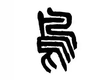 鸟汉字的起源与演变小学一年级语文生字第34集