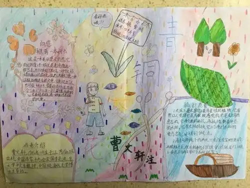 第22期青铜葵花
