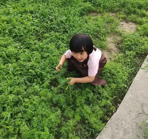 珍惜粮食,拒绝舌尖上的浪费