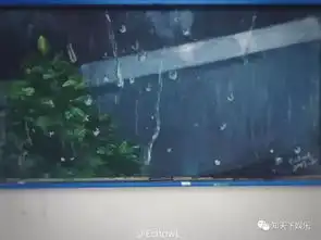 福州16岁高二女生杨童婳走红网络酷似刘亦菲