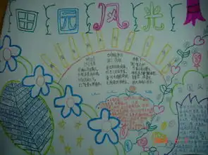 美丽的风景手抄报