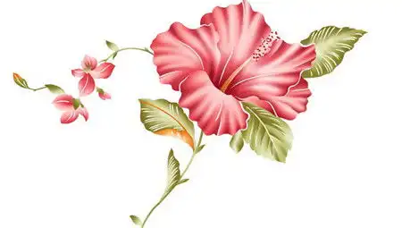 黑板报花边绿色藤蔓花边