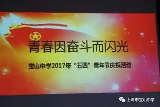 青春因奋斗而闪光宝山中学2017年五四青年节庆祝活动