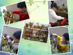 信息详情托二班