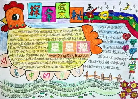 科学手抄报版面设计作品探索奥秘