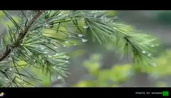 找春天课文课件播放下载