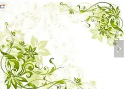 手抄报花边手抄报简单花边绿色的花边