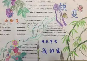 2018军训day7飒爽英姿,青春飞扬