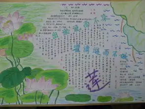 莲文化的魅力手抄报,急需