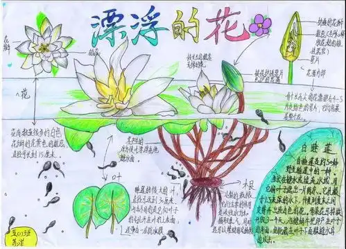 推动绿色发展促进人与自然和谐共生江汉区校园生态文明实践行之世界野生动植物日活动