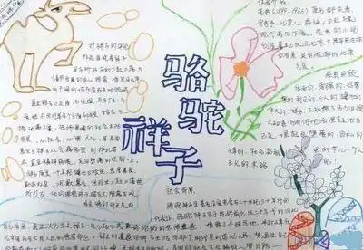 如何做最好看的骆驼祥子的手抄报