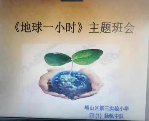 崂山区第三实验小学扬帆中队开展地球一小时,我们在行动主题活动