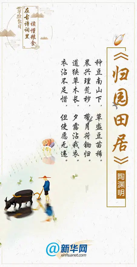 世界粮食日丨珍惜粮食拒绝舌尖上的浪费