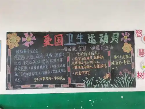 开展爱国卫生运动主题教育活动