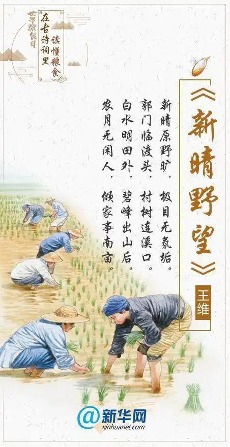 世界粮食日丨珍惜粮食拒绝舌尖上的浪费
